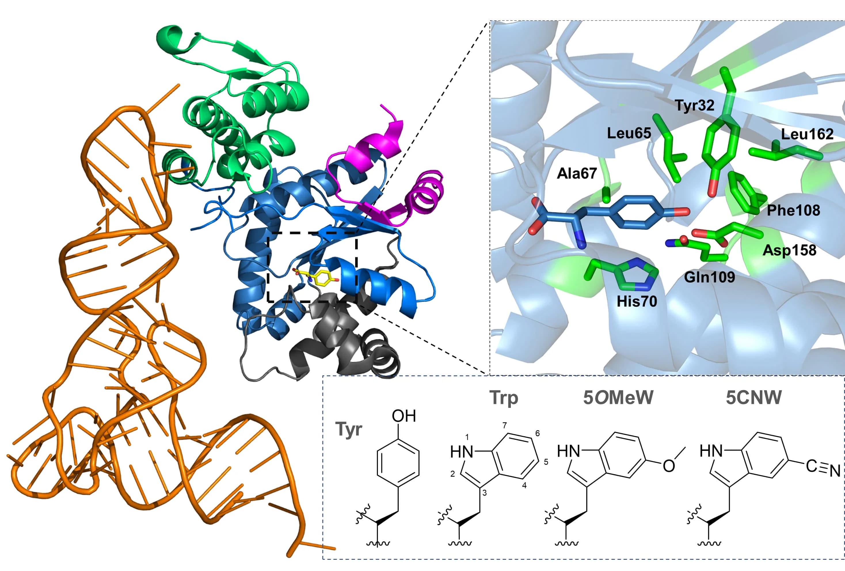 Cutting-edge molecular probes research illustration