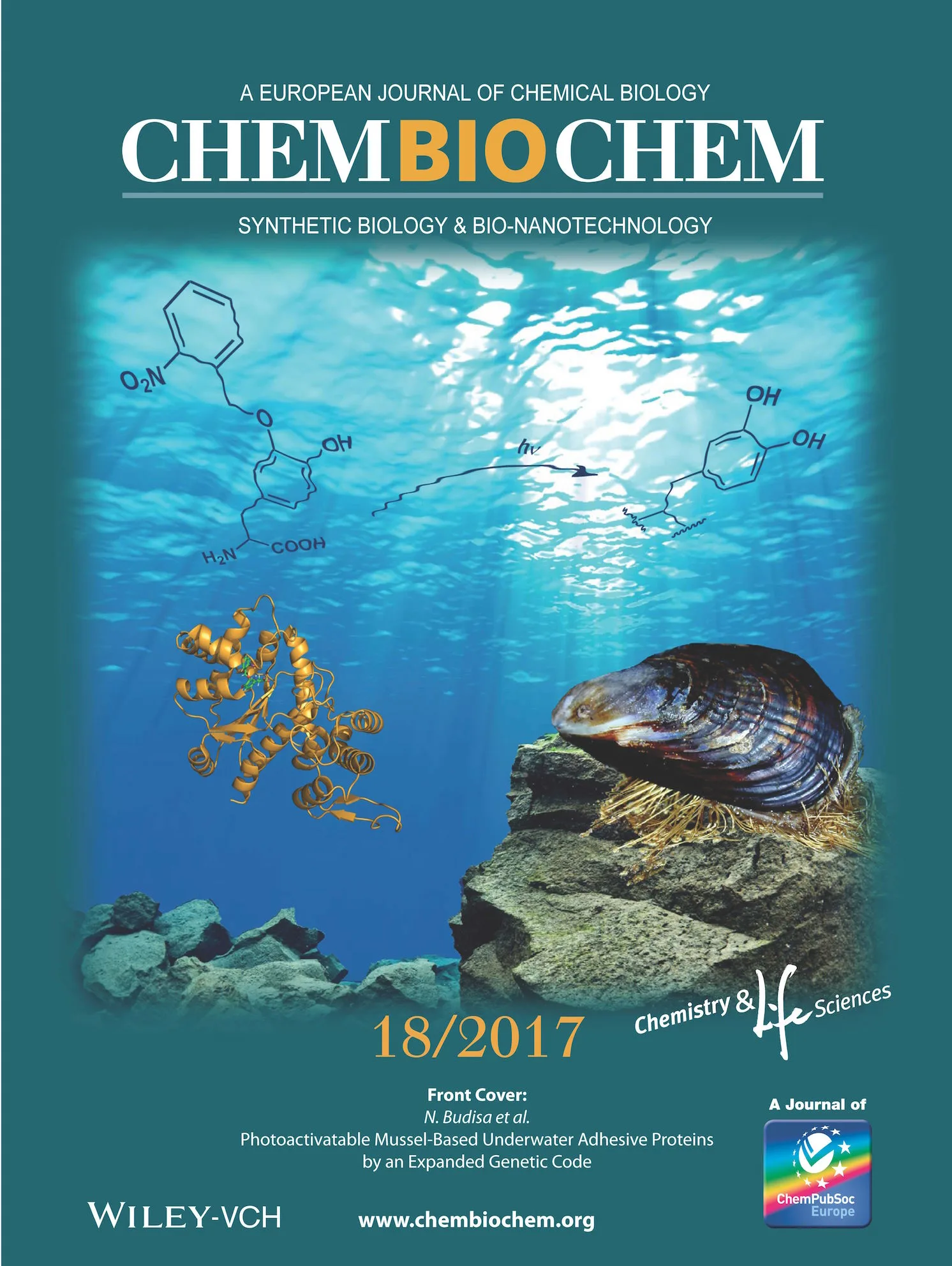 Illustration for Towards biological underwater superglue!