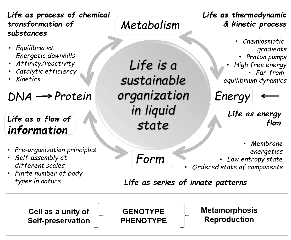 Illustration for Meet an Alien - Xenobiology2020