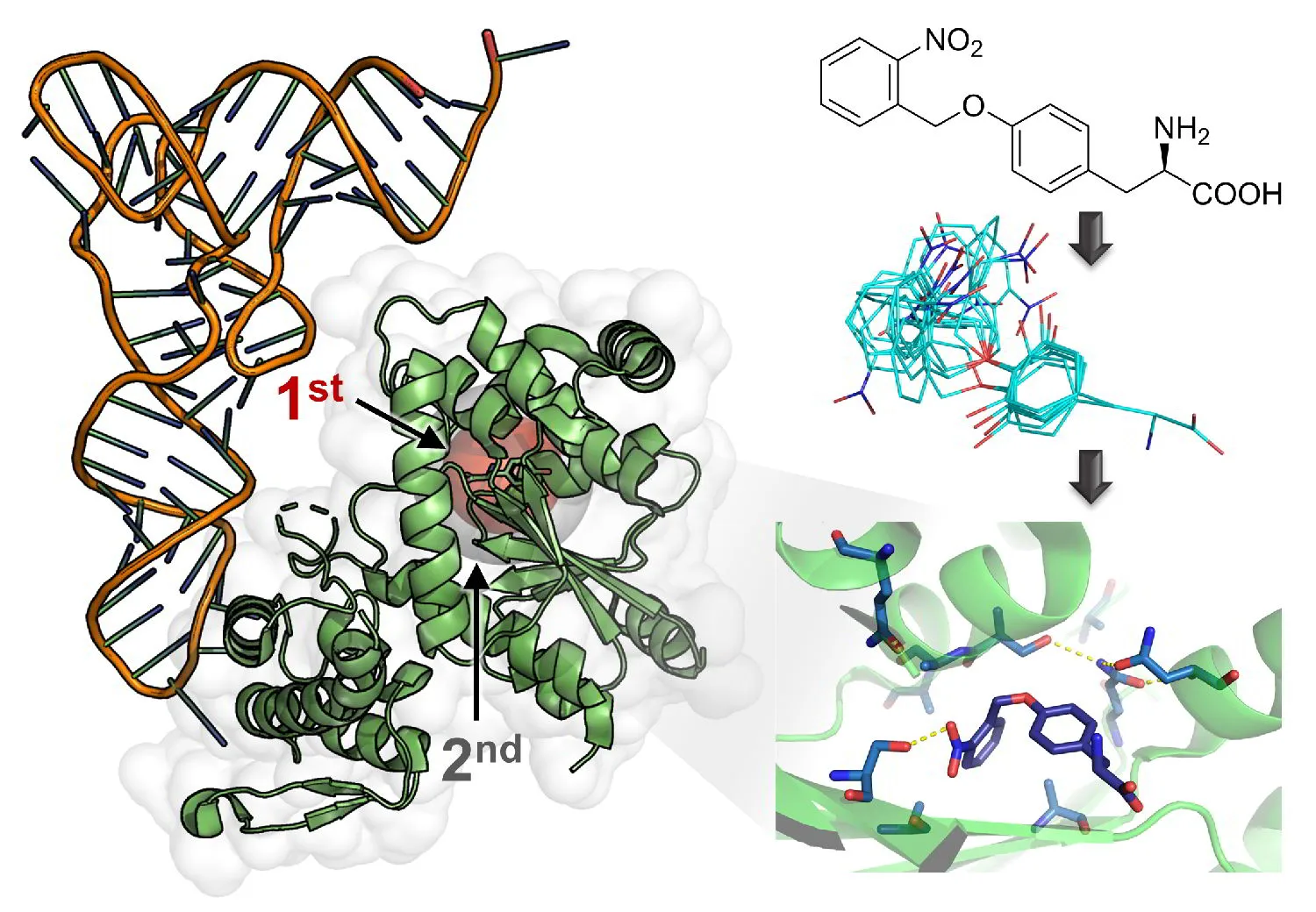 Illustration for Computational design takes over!