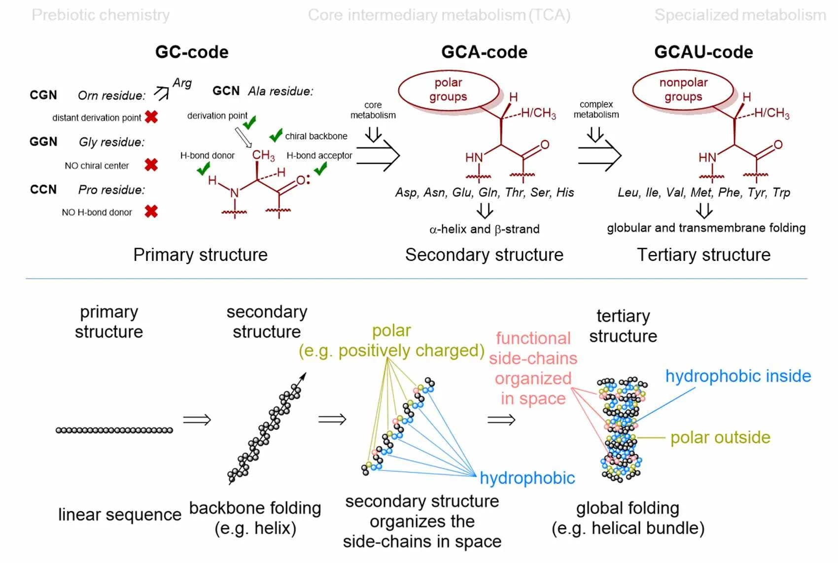 Illustration for Welcome to the Alanine World!