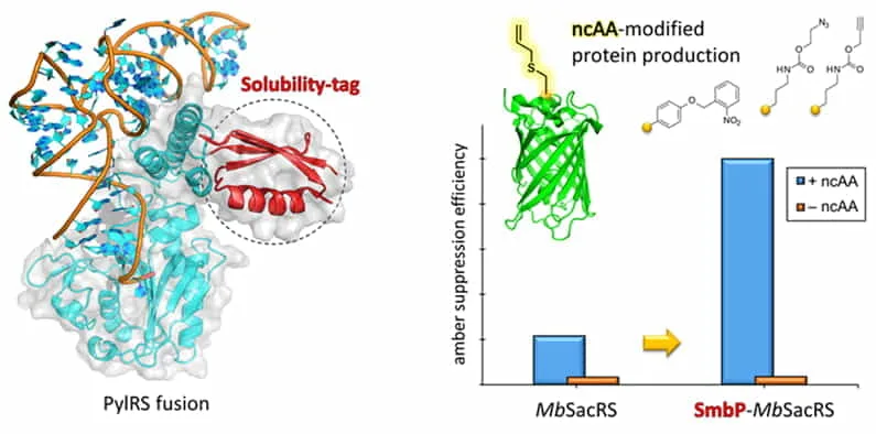 Illustration for Solubility Matters
