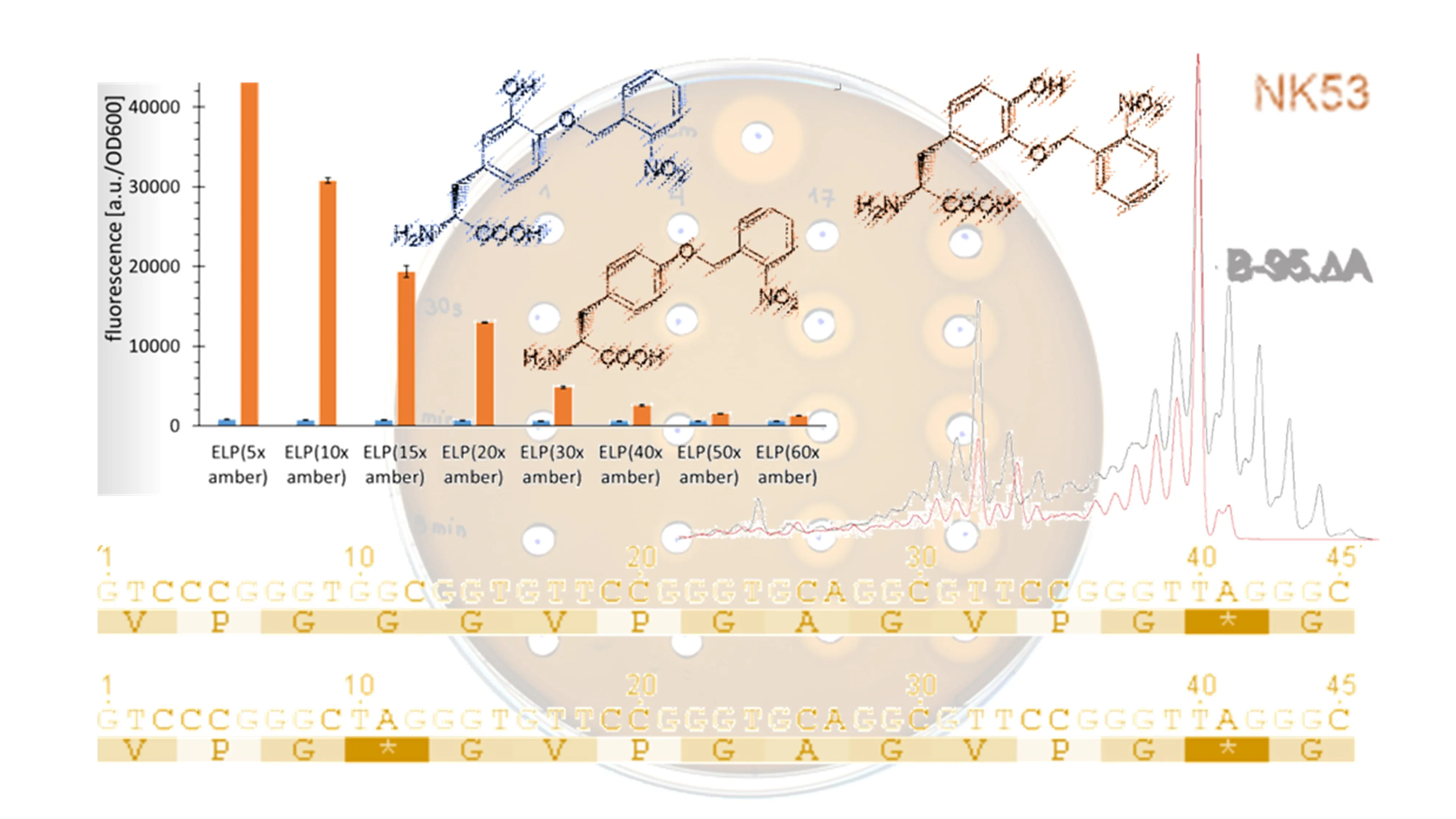 Illustration for Keeping Proteins in Check