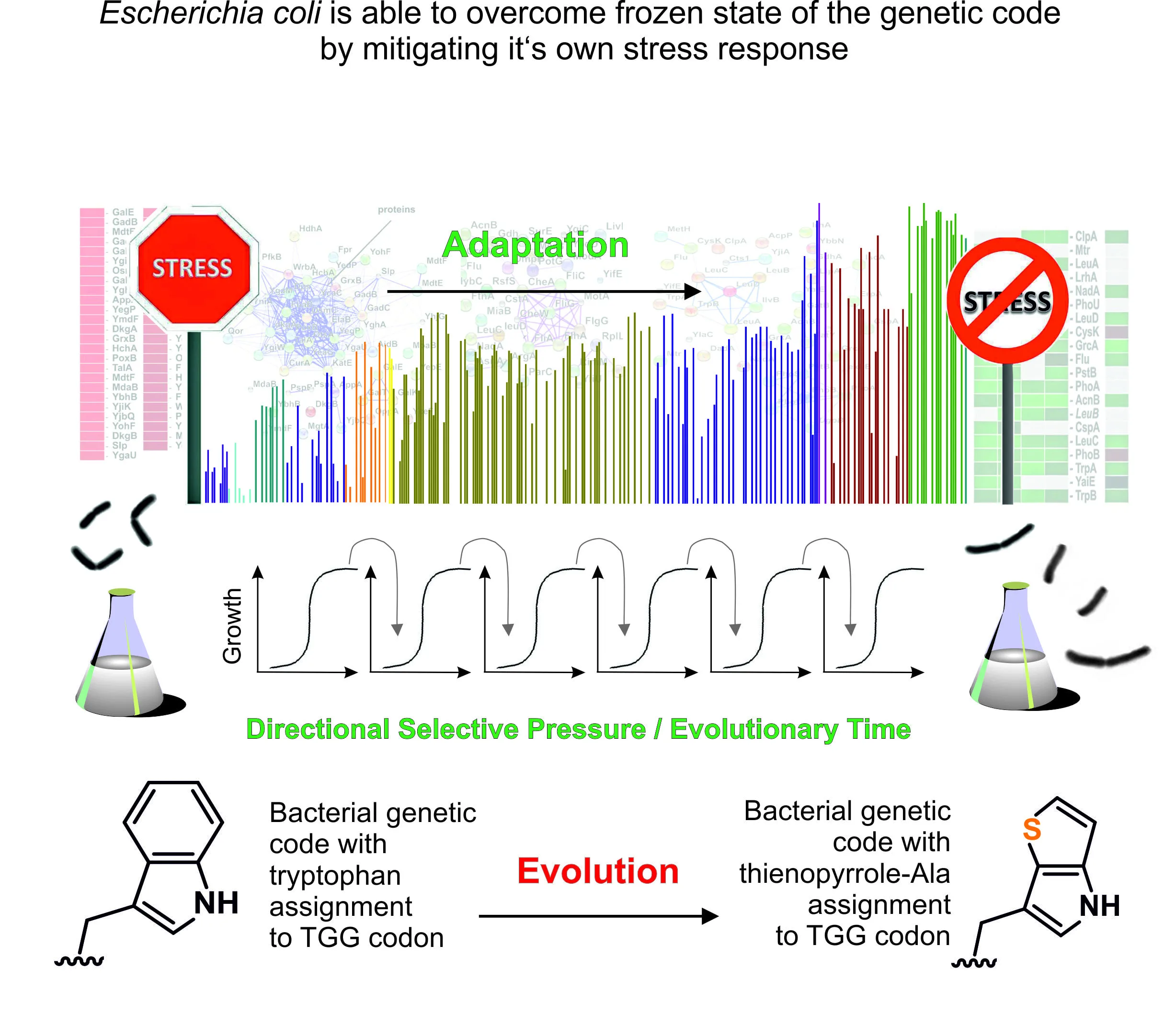 Illustration for Towards a Synthetic Life Without Stress
