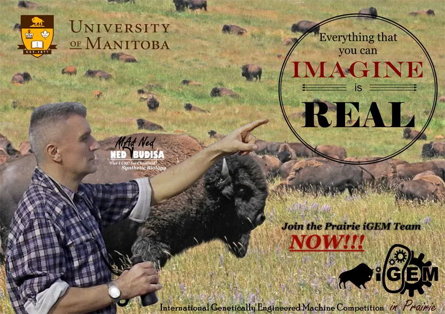 Illustration for We are moving to Canada