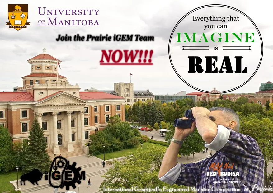 Illustration for We are moving to Canada